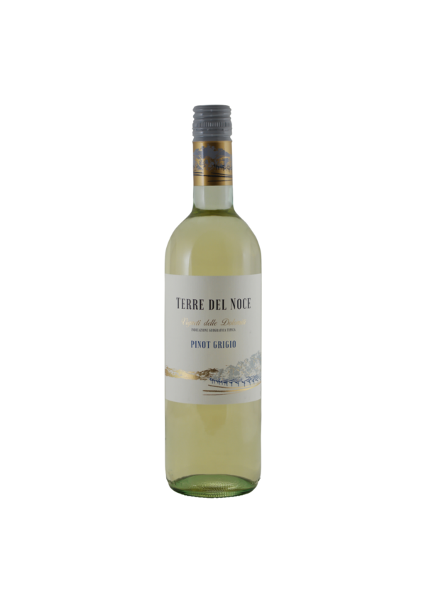 Pinot grigio - Terre del Noce - Italie